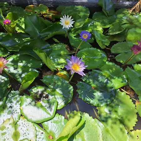Homestay Dat Phu Tuy Hòa Zewnętrze zdjęcie