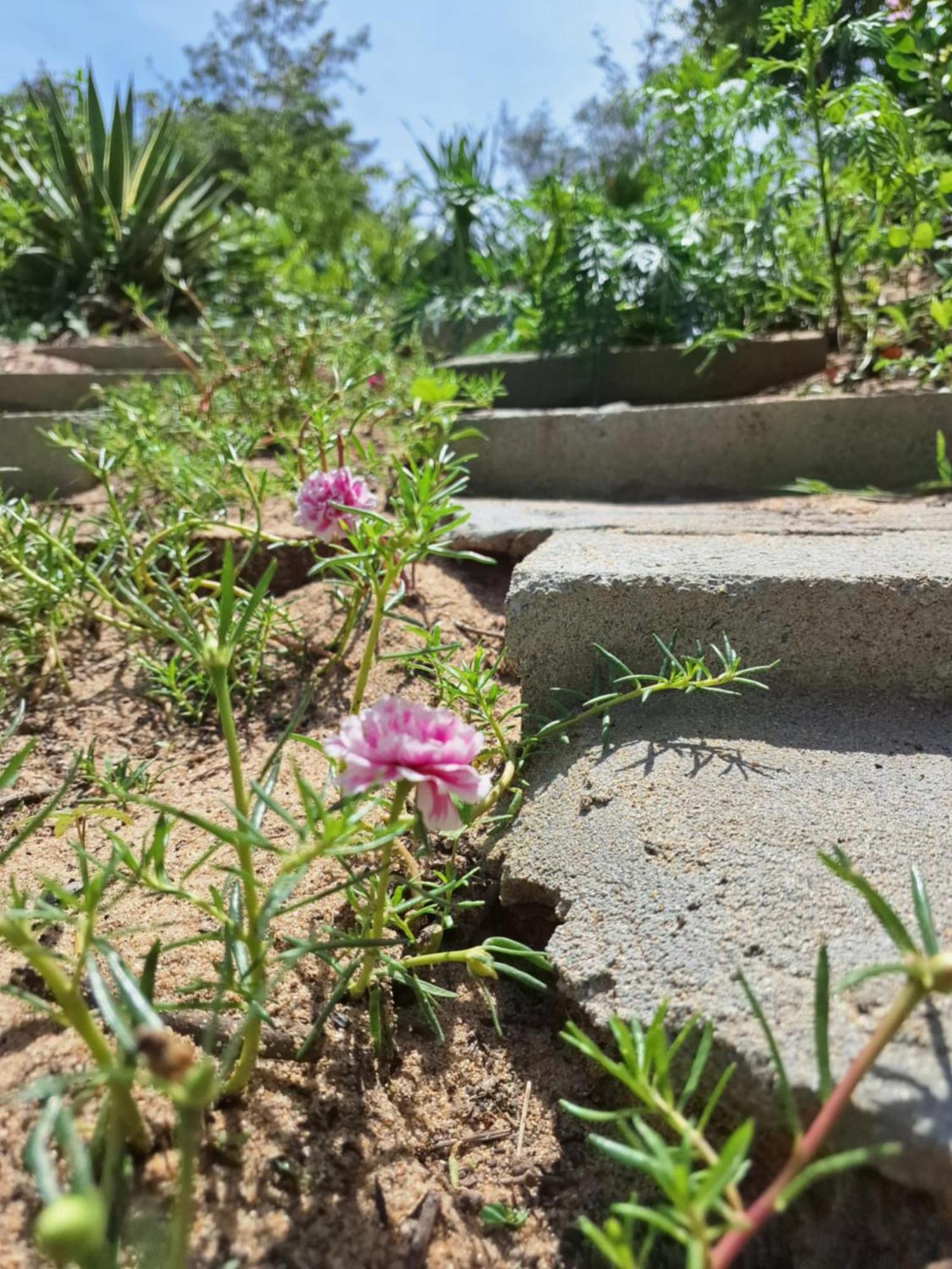 Homestay Dat Phu Tuy Hòa Zewnętrze zdjęcie