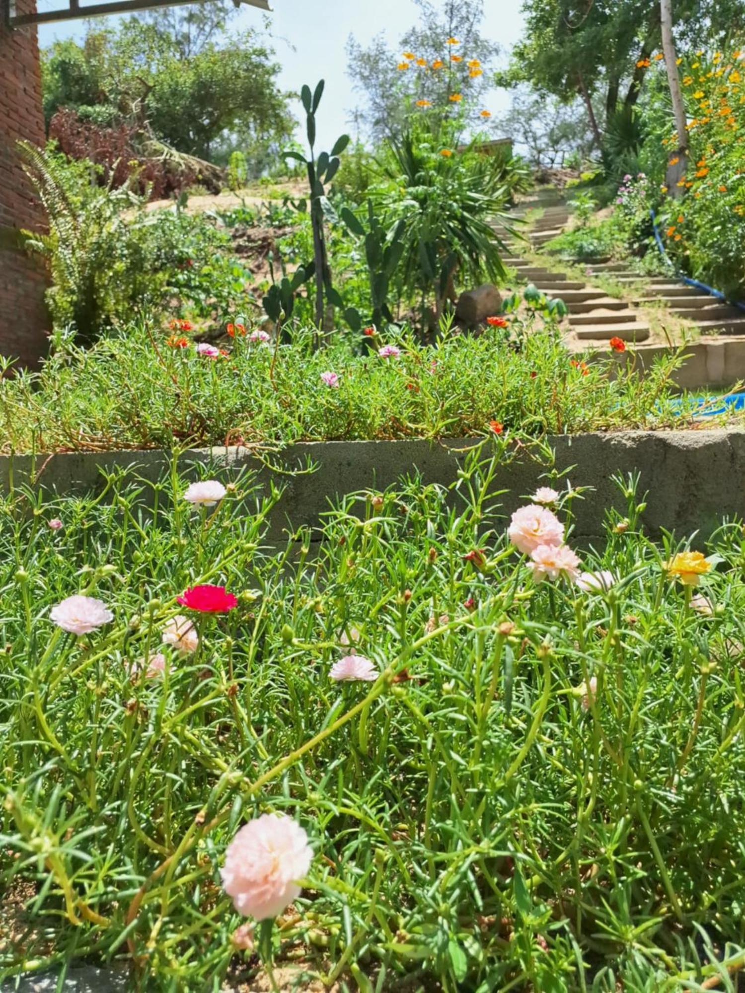 Homestay Dat Phu Tuy Hòa Zewnętrze zdjęcie