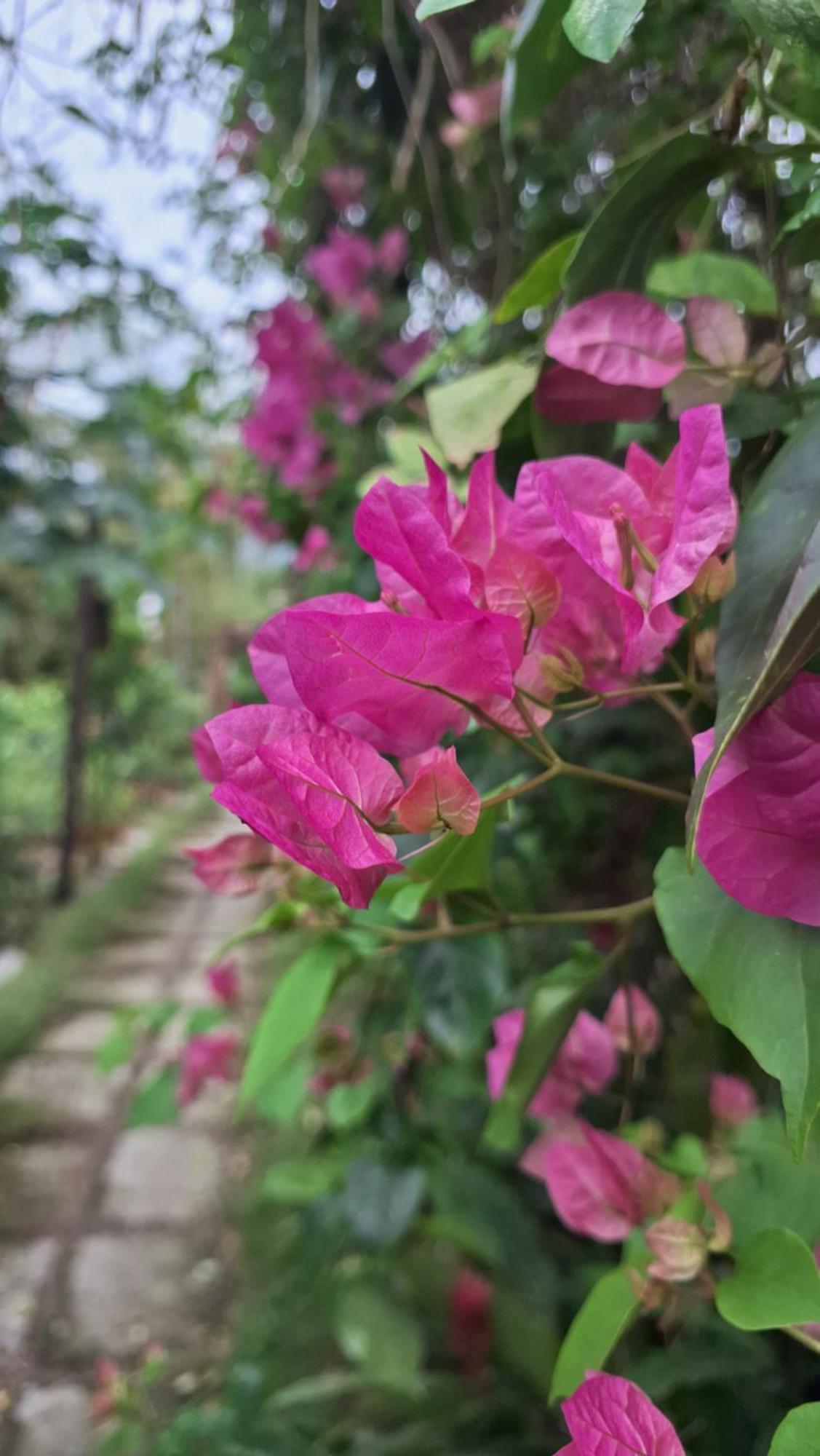 Homestay Dat Phu Tuy Hòa Zewnętrze zdjęcie